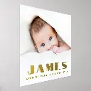 new_baby_newborn_name_date_length_weight_photo_foil_prints-r34db675861a44e0aa503864150780f58_aacsei_1000.webp