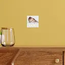 new_baby_newborn_name_date_length_weight_photo_foil_prints-r34db675861a44e0aa503864150780f58_aacseu_1000.webp