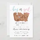 cub_bear_theme_gender_reveal_party_invitation-r12fe4168df0b46c8bf9cb2d4b679e6a9_tcvqa_1000.webp