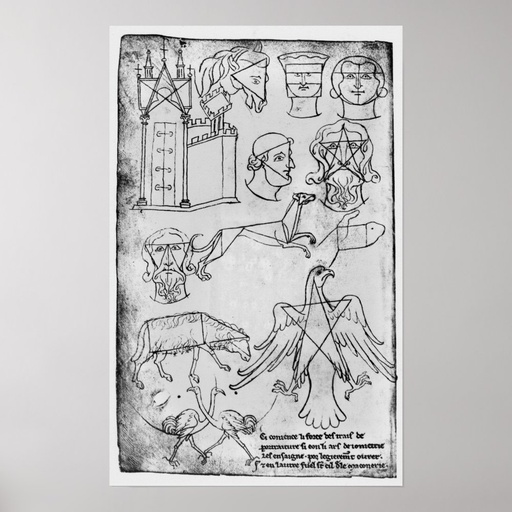 Ms Fr 19093 fol.18v Various drawings Poster